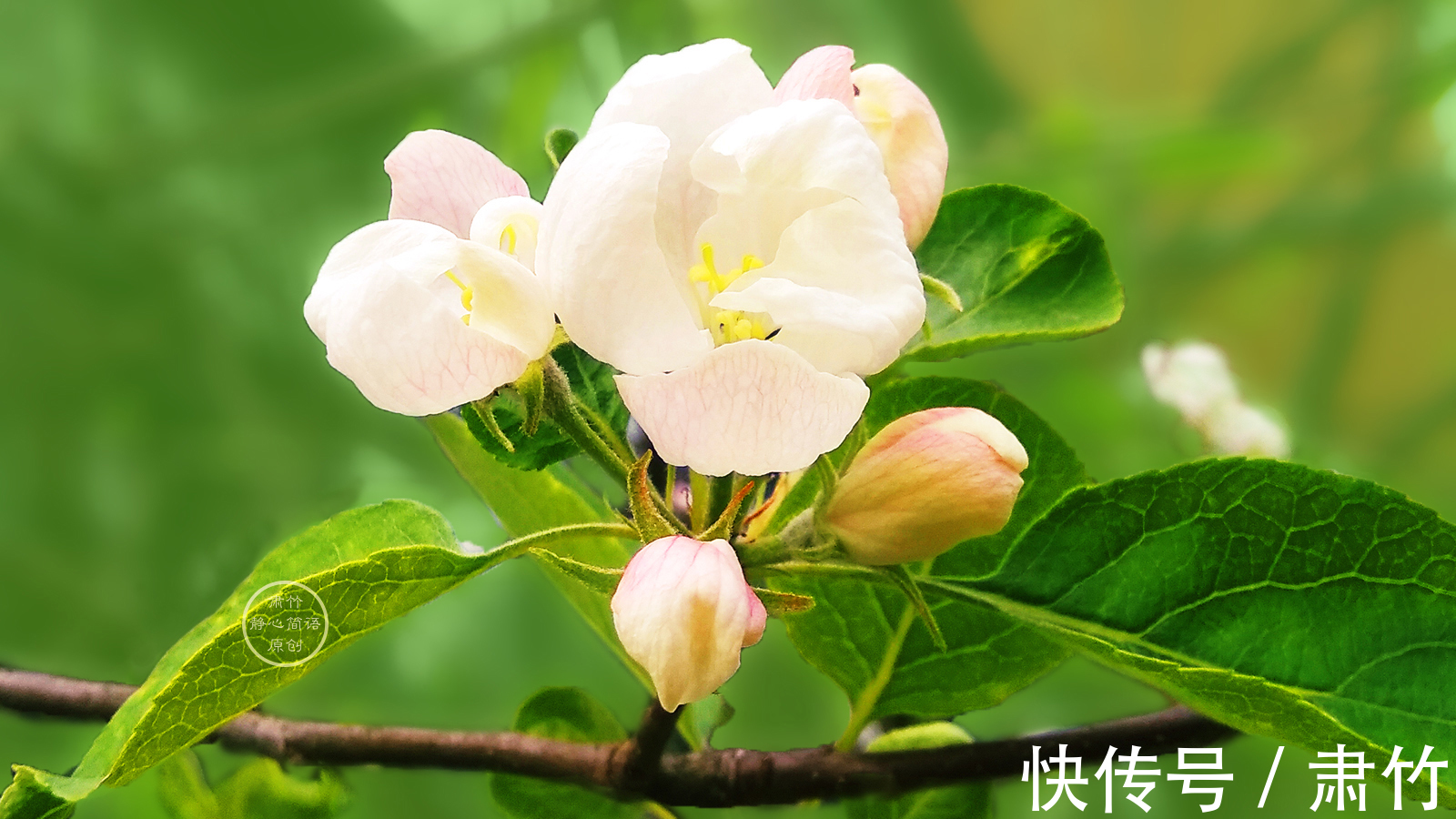 雨声|静听雨声,清浅是我们的寂寞,也是温馨