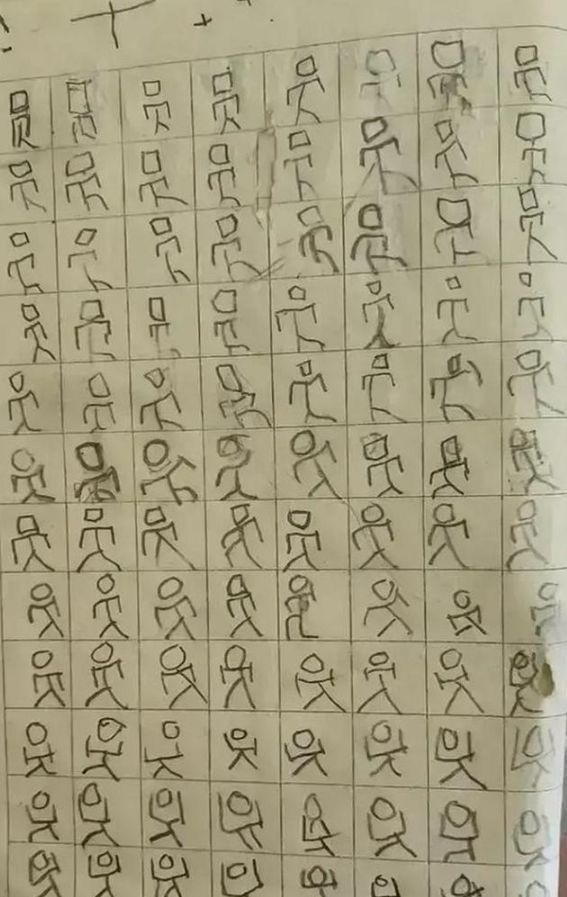 罗字|孩子被罚抄“罗”,妈妈拍照上传后走红网络,网友:这字有灵魂