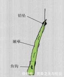 绝对干货！钓草鱼不传之秘——终结篇