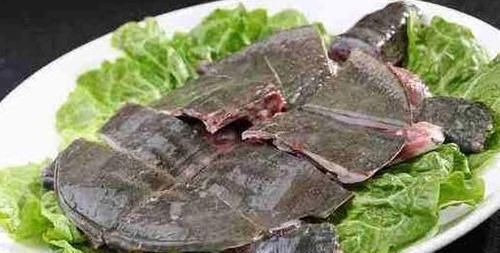 女生怀孕后要当心,胎儿“最怕”4物,贪吃或会造成胎儿畸形