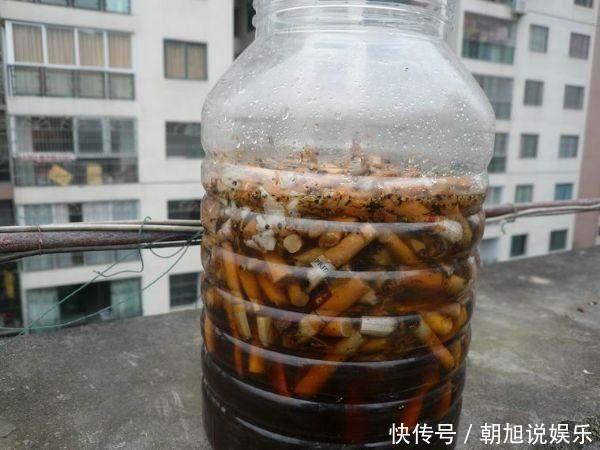 蚊香灰、烟灰“别倒掉”,撒在花盆里,驱虫子、防烂根,简单实用