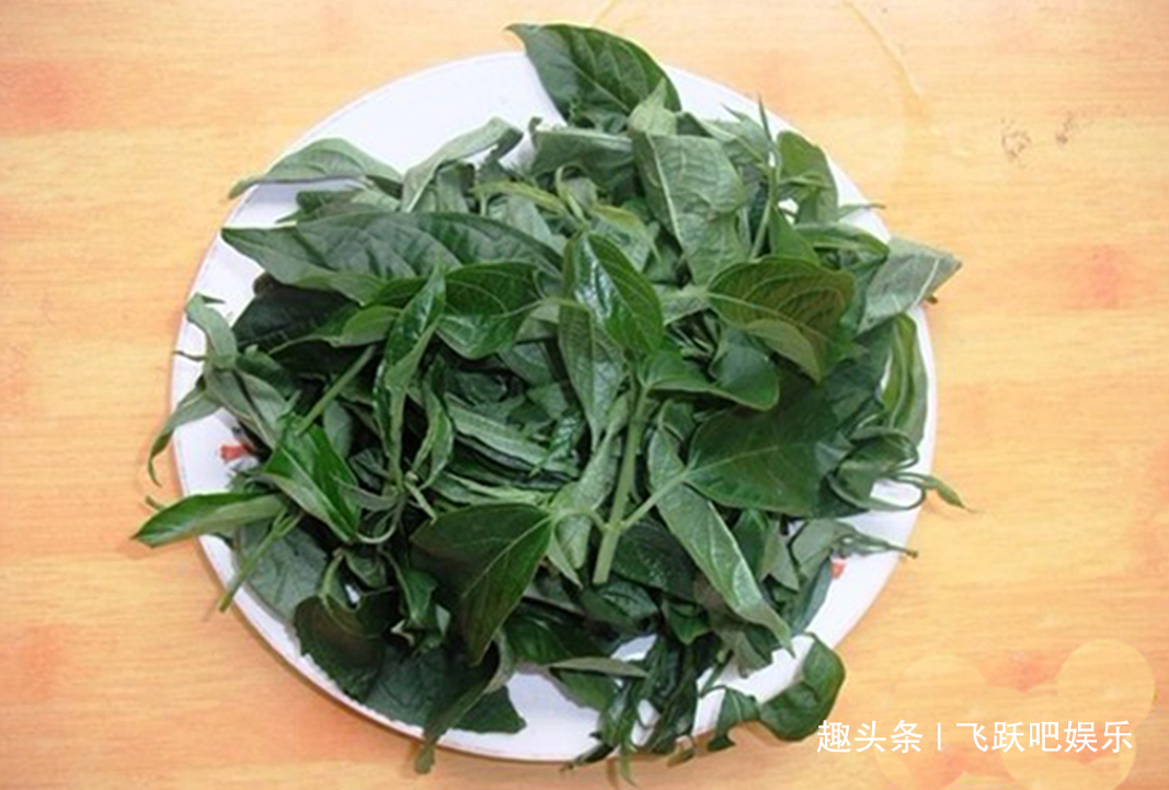 补水|秋干物躁,多吃4种食物补水,减少色素沉淀,让皮肤更嫩