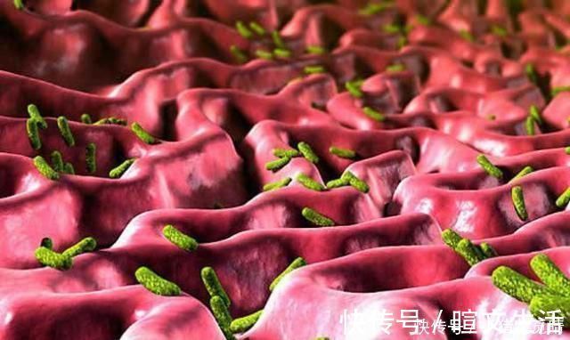 幽门螺杆菌|胃病最怕1种水,家里都有,连吃7天,攻克幽门螺杆菌,胃病不再来