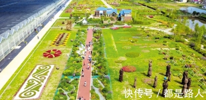 崇明区|【十佳最美花乡】这座充满“智慧”的花卉园,新年来崇明打卡吧!