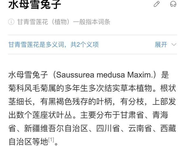 出了事就甩锅嘉宾,难怪从一流节目做成了三流