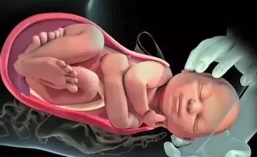 小宝宝|分娩痛得死去活来时宝宝在干嘛?暖哭!你真的不是一个人在战斗!