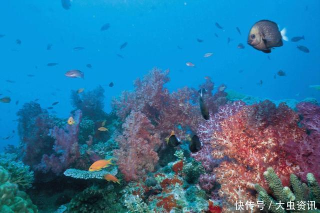 毒药 不只是氧气,雄激素或许也是一种“慢性毒药”