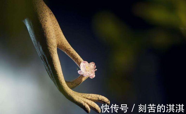 苟日新|将被社会慢慢淘汰的5种人