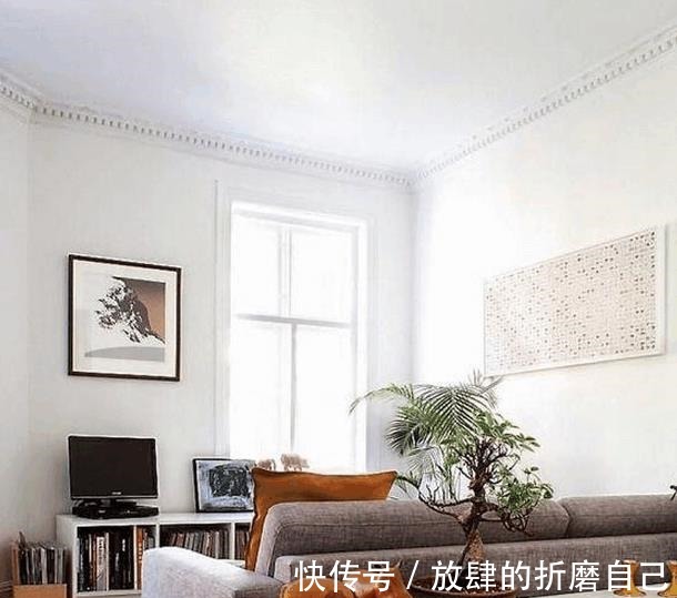 沙发|老公不过是做了一个架子, 放在沙发后面, 竟引来一小区人争着模仿！