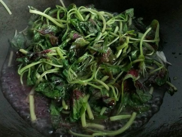 此菜就是藏在路边的“补血剂”，每天吃一小把，越吃皮肤越细腻