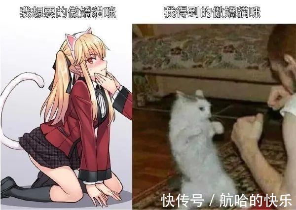 奥特曼|爆笑神评丨奥特曼灭绝了?光消失了?