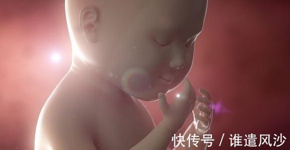 准妈妈|宝宝在肚子里这个月长得最快,大脑也开始发育,准妈错过就晚了!