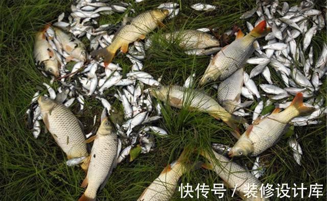 野钓大鱼,这样调漂效果不错,铅坠悬浮状态的最钝调漂方法