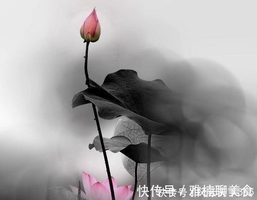 人生在世@佛教最经典的24句话,修身养性,不看是你的损失!