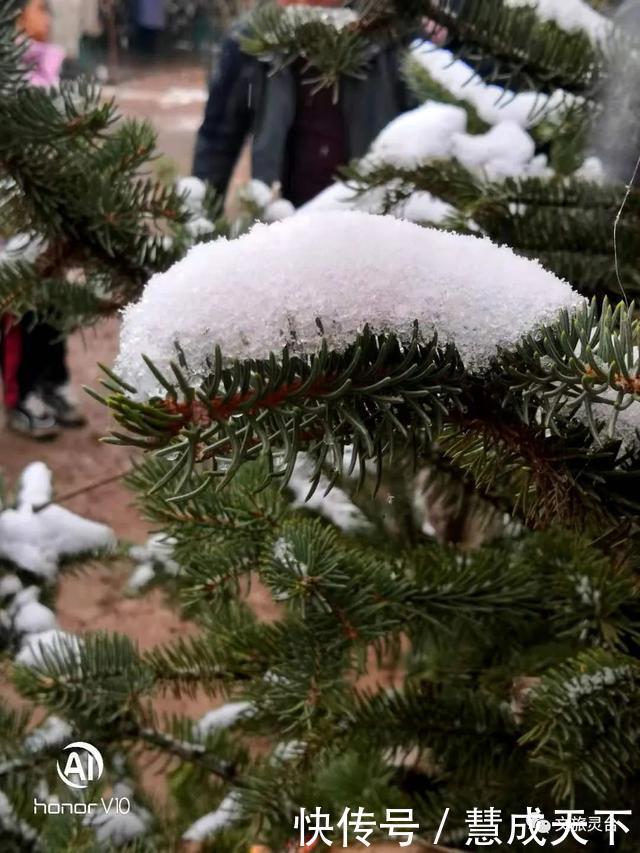 相约|相约灵台的冬季