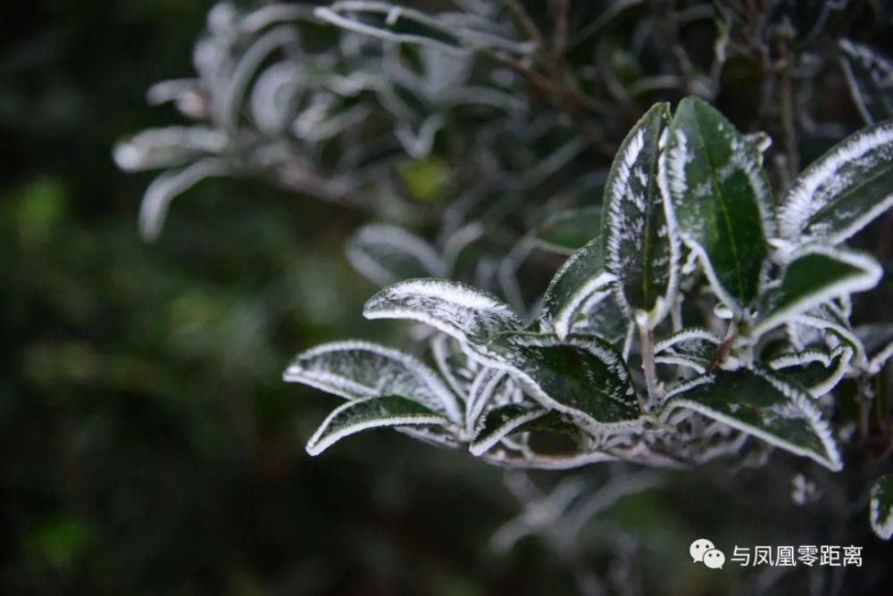 谁说我们潮州揭阳不下雪？汕头就郁闷了