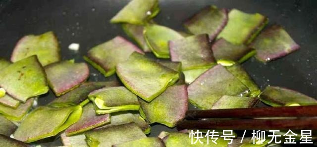 这菜每吃一斤，相当于8杯牛奶15个鸡蛋，可惜很少有人知道！