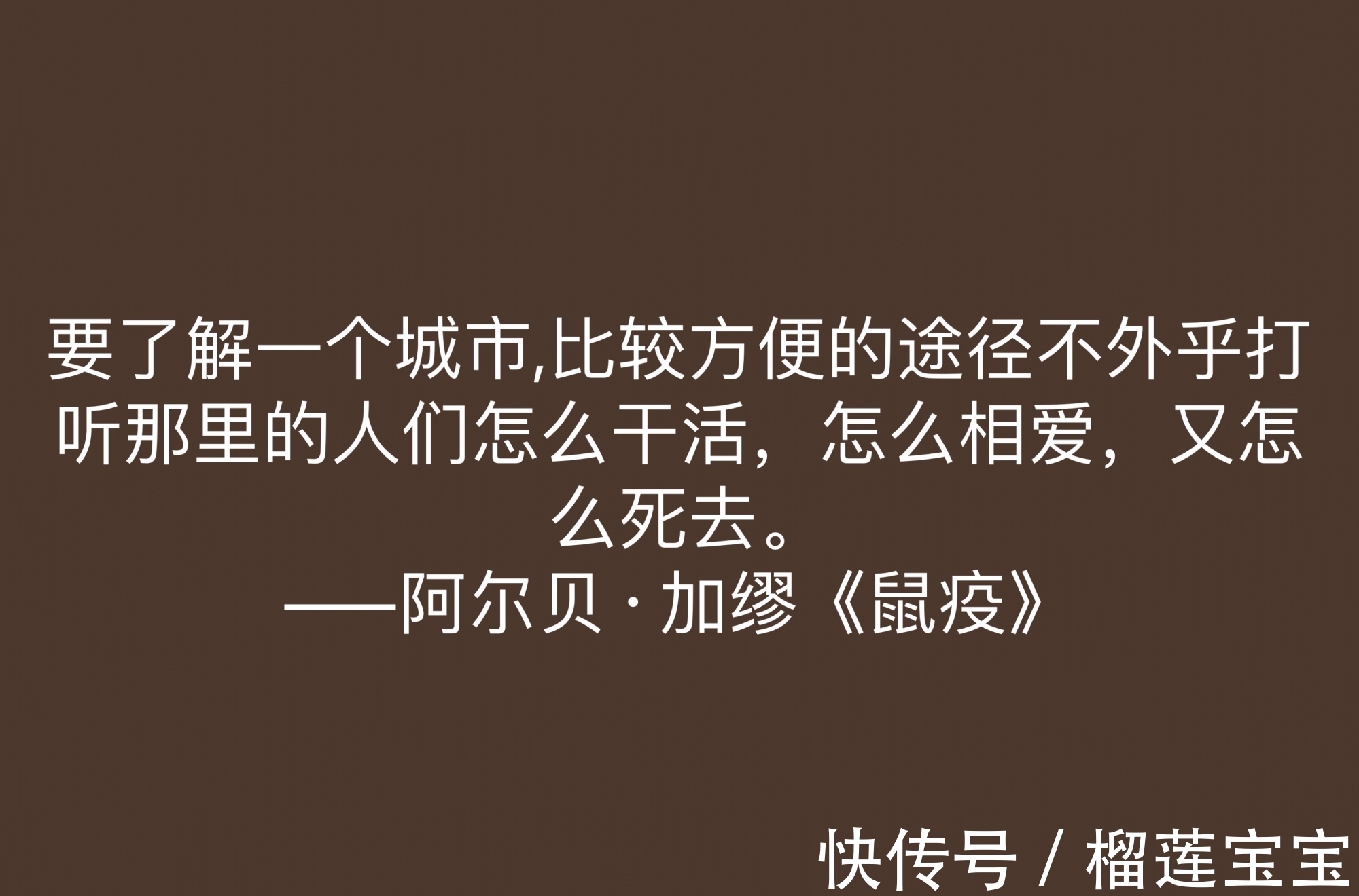 阿尔贝·加缪!法国大作家加缪,小说《鼠疫》十句格言,充满人生哲理,值得深悟