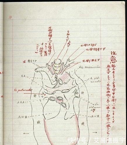 恩师@鲁迅在日本留学时的“恩师”藤野先生,最后有着怎样的结局?