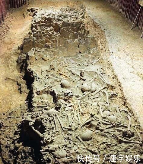 秦国|长平之战, 秦国真的大获全胜吗?