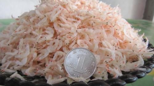 白色|今天才知道,白色虾皮和红色虾皮的区别原来差别这么大,涨见识