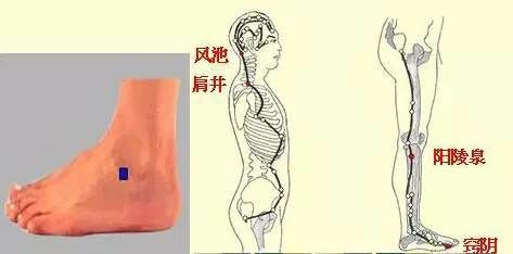 按摩|经络养生，给你意想不到的效果！