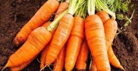 三伏天|对身体很好的3种食物,平时经常吃,补血养气,延缓衰老