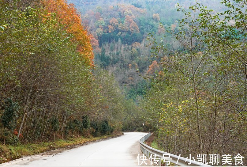 彩林|平武有座山红透了！山上这条云端上的彩林公路秋色如画