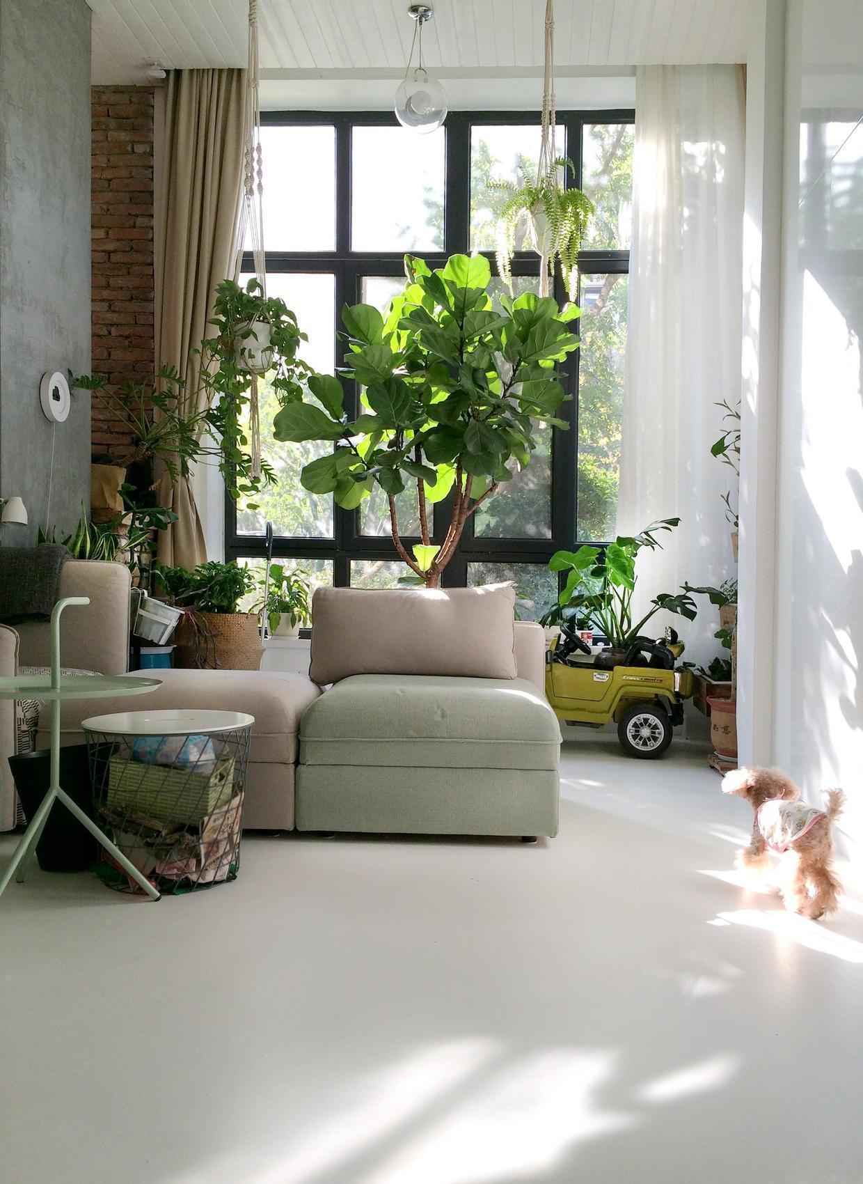 改造|她买下学区房,76㎡挤出8个房间,一层爆改两层,邻居都看呆了