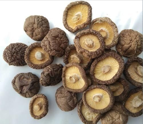 调理|痛风者该如何调理饮食？建议远离“3白、3黄”，或有助尿酸稳定