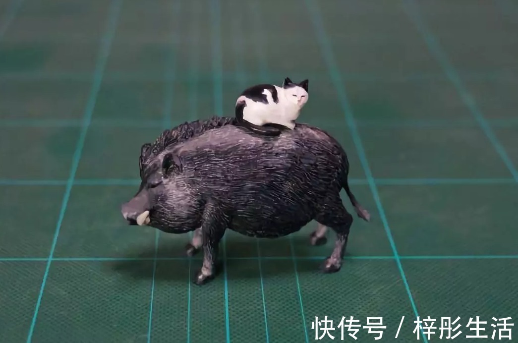 我是谁|他用手工雕塑高度还原魔性动物表情包,这画风也太搞笑了吧!
