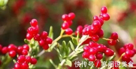 长寿|想长寿先排毒,建议吃的食物,排毒燃脂,润肠通便,预防衰老