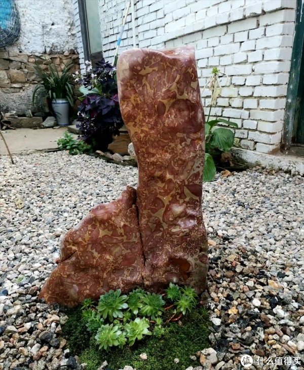 庭院|天天吹捧日本家居设计,其实这些根本不适合中国,一用就会悔哭的