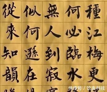 辞海$徐静蕾楷书也堪称养眼,专家也服了日后可考虑拜她为师