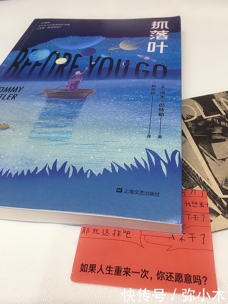 落叶|《抓落叶》:童年缺爱,一生寻找,不能如愿