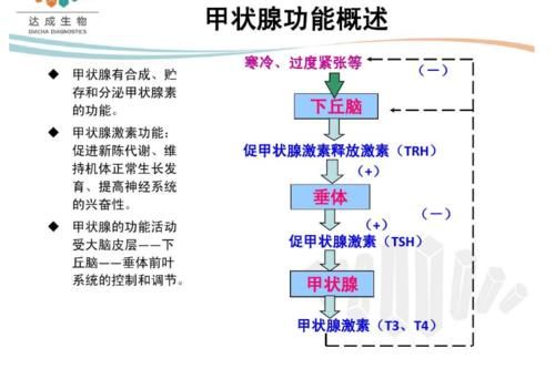 紊乱|吃一口胜过8斤梨，甲乳科医生：坚持吃，甲状腺结节一天天变小
