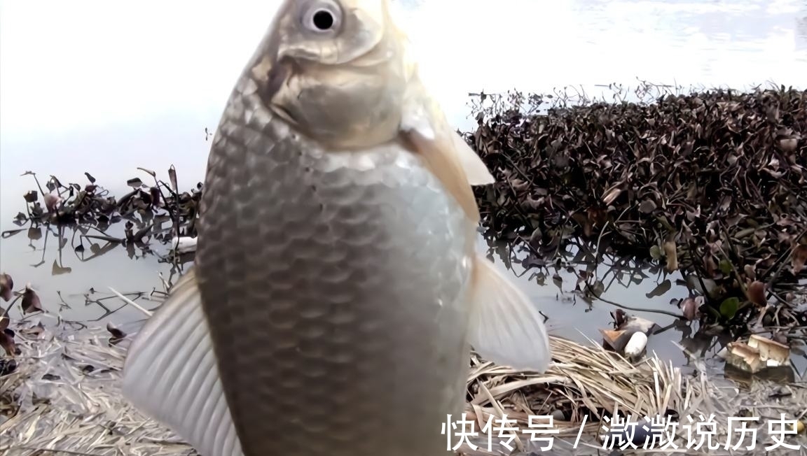 浅谈冬天大温差天气垂钓,留意规律,好鱼获不难