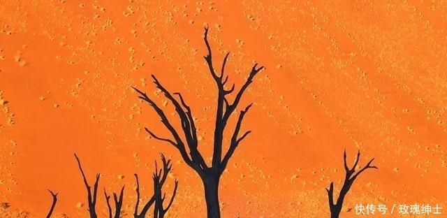 眼睛|你的眼睛捉弄了你,24张难以置信的照片