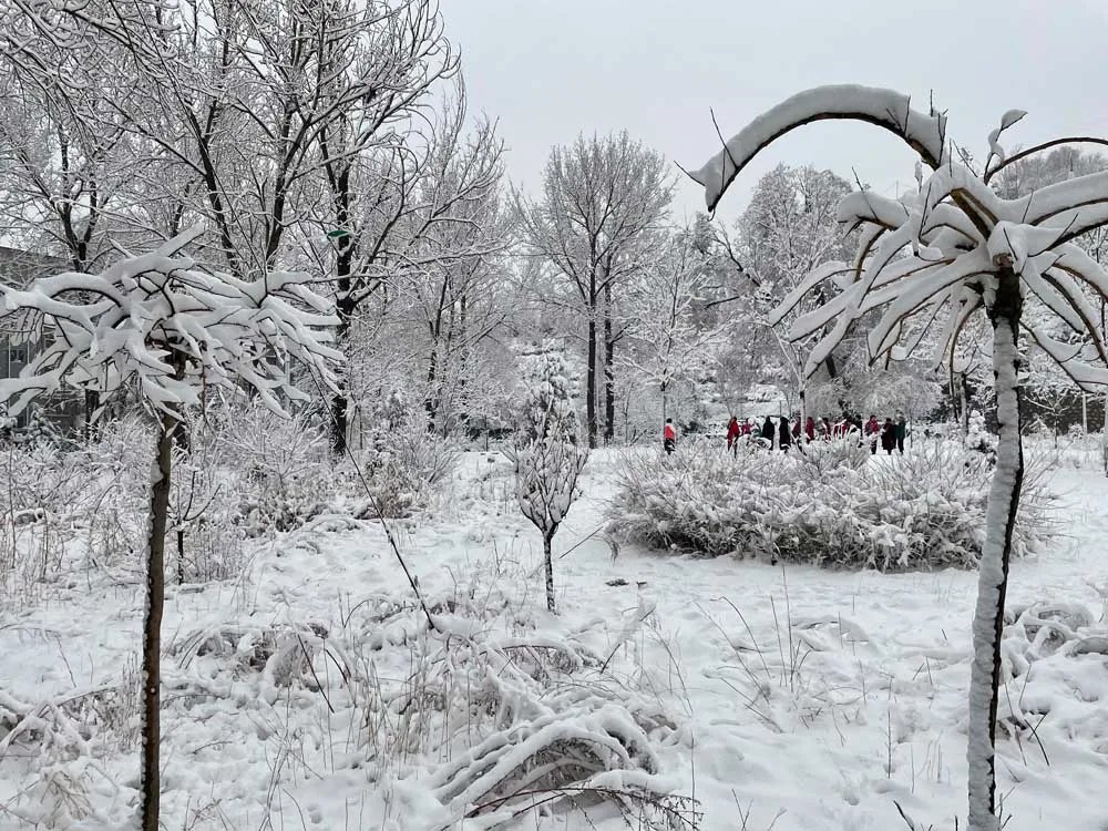 北国之春，三月雪