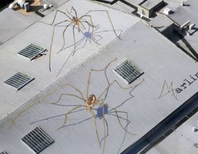 更何况|连小孩子都知道不花钱玩游戏太累,更何况是成年人呢?