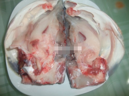 这菜骨头比肉多,却卖得比肉还贵,这样做鲜香美味,下饭又下酒