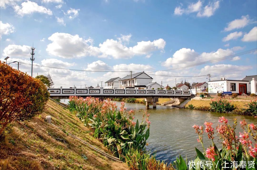 四团这个村获评“最美宅基”,美不美,看图!