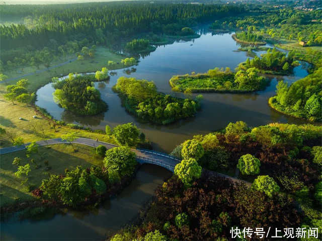 湿地|看，崇明来了只“小花狮”