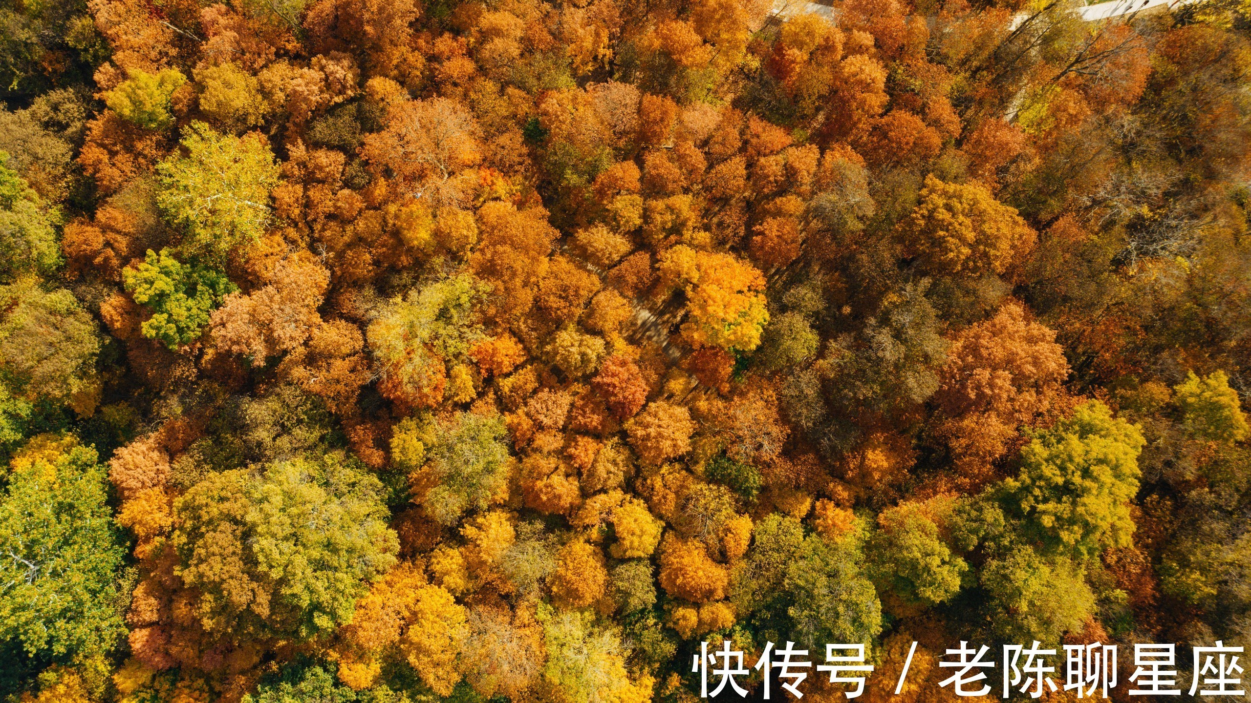 从12月18日开始 运势旺盛 会鸿运当头 喜事临门的三大星座 粉紫色 从12月18日开始 运势旺盛 会鸿运当头 喜事临门的三大星座 粉紫色