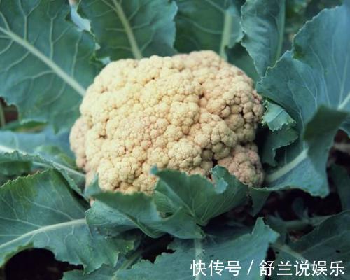 美白|有一种蔬菜，既美白又防癌，40岁的女人常吃，小肚子轻松瘦