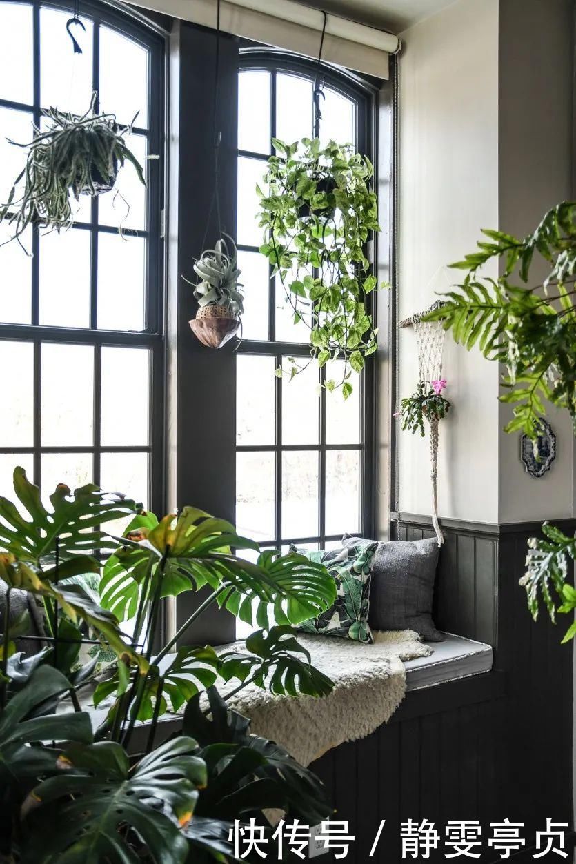 她在屋里种满500盆植物:呆在这样的房子里,生活更有了诗意!