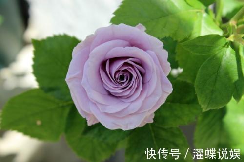 夫妻|只生一个孩子的的夫妻,到老了以后,生活无外乎都是三个样子