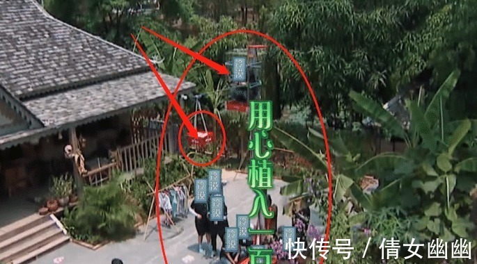 節(jié)目組|黃磊發(fā)現(xiàn)摘椰子神器,節(jié)目組都慌了!得知工具實際用途用心良苦