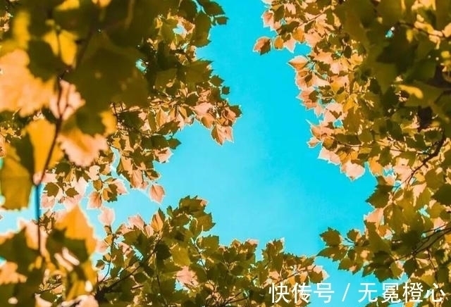 恋人|越委屈，越会晾着你的星座，不愿解释，宁可自己默默消化