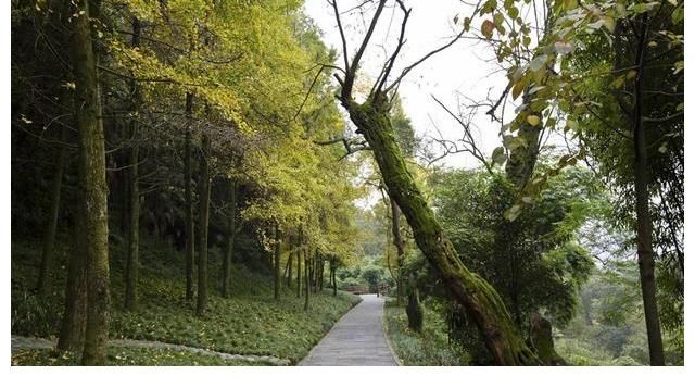 古道|松茂古道，历经2000多年，沟通成都平原和川西经济文化的重要通道